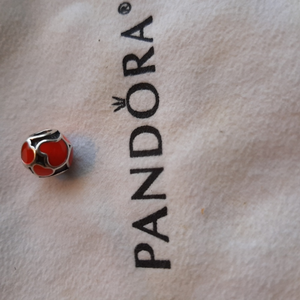 Pandora Charm